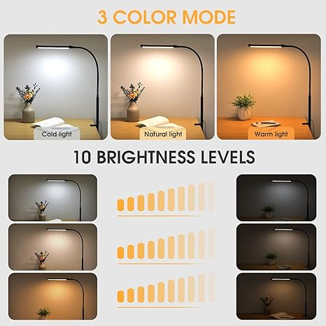 LED Desk Lamp with Clamp, Flexible Gooseneck and 3 Light Modes