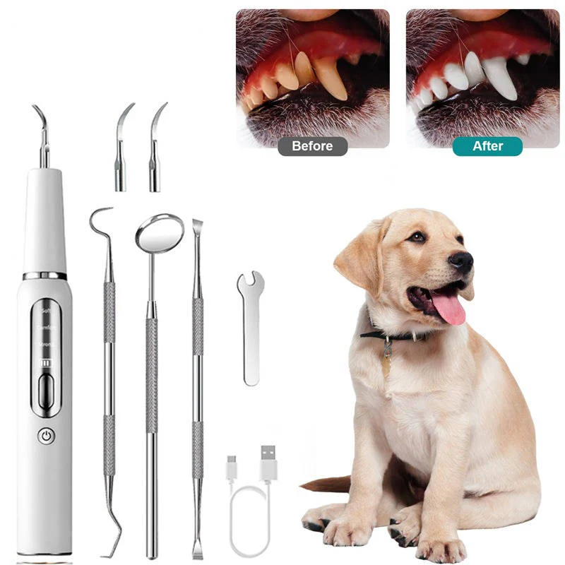 Dog Dental Care Tool, Stainless Steel Teeth Cleaning Kit