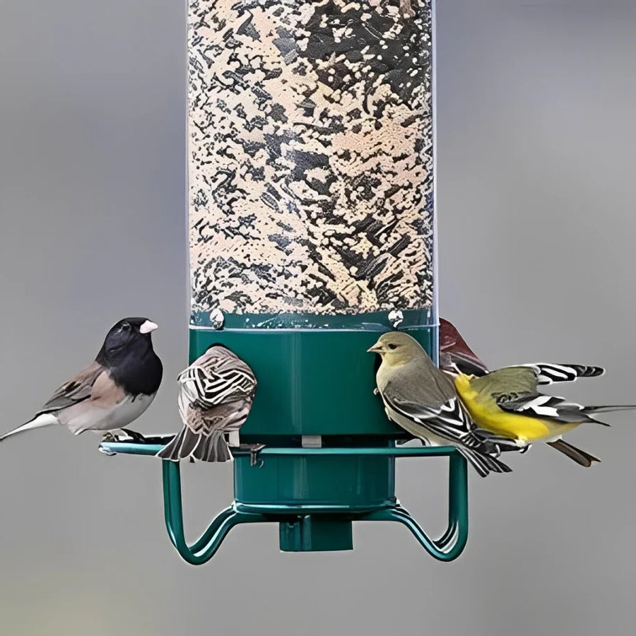 Spinning Perch Bird Feeder with Weight Activated Squirrel Deterrent and Metal Construction