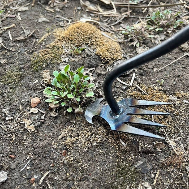 Handheld Weed Tool Remover