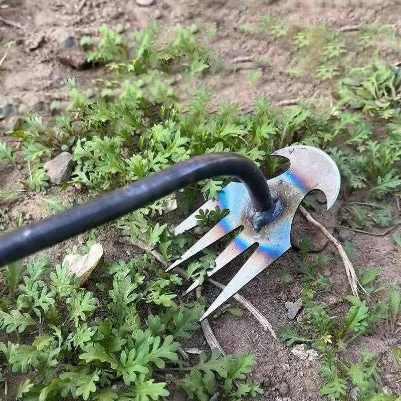 Handheld Weed Tool Remover
