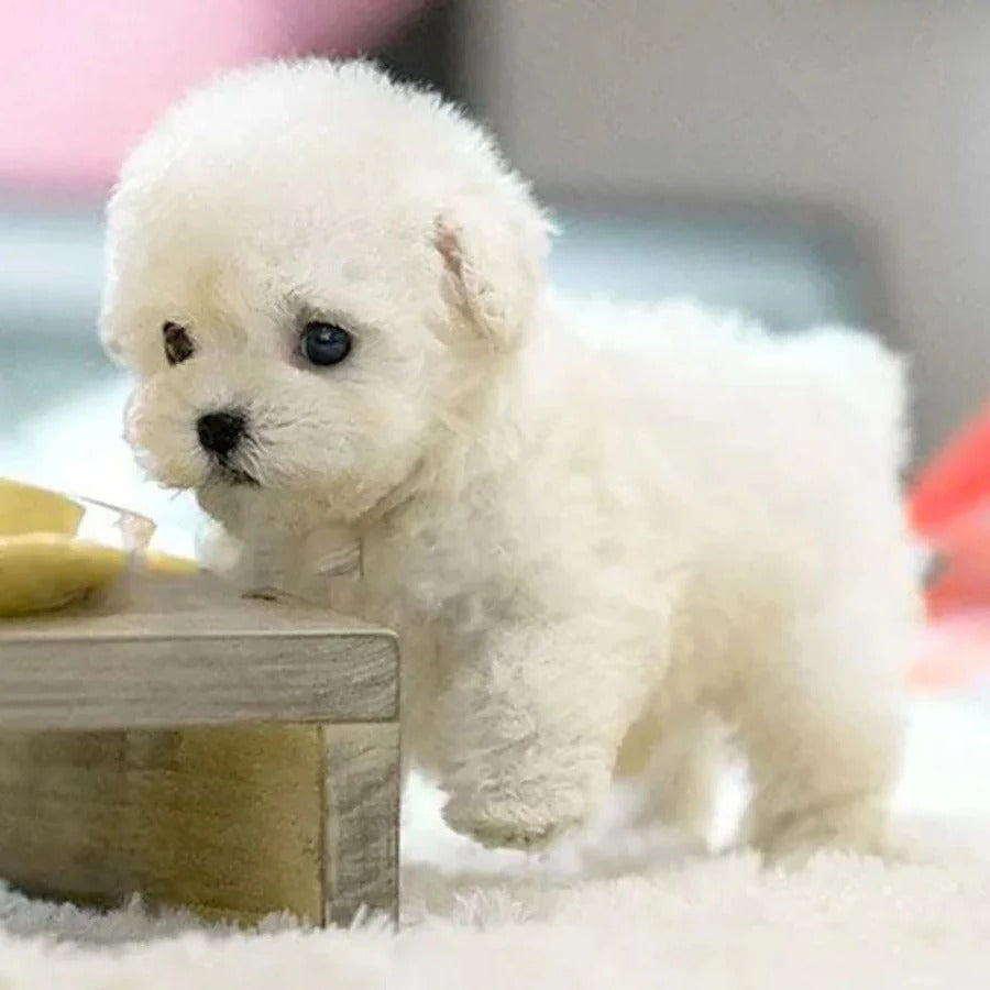 Interactive Robotic Puppy Toy with Voice, Touch, and Sound Recognition