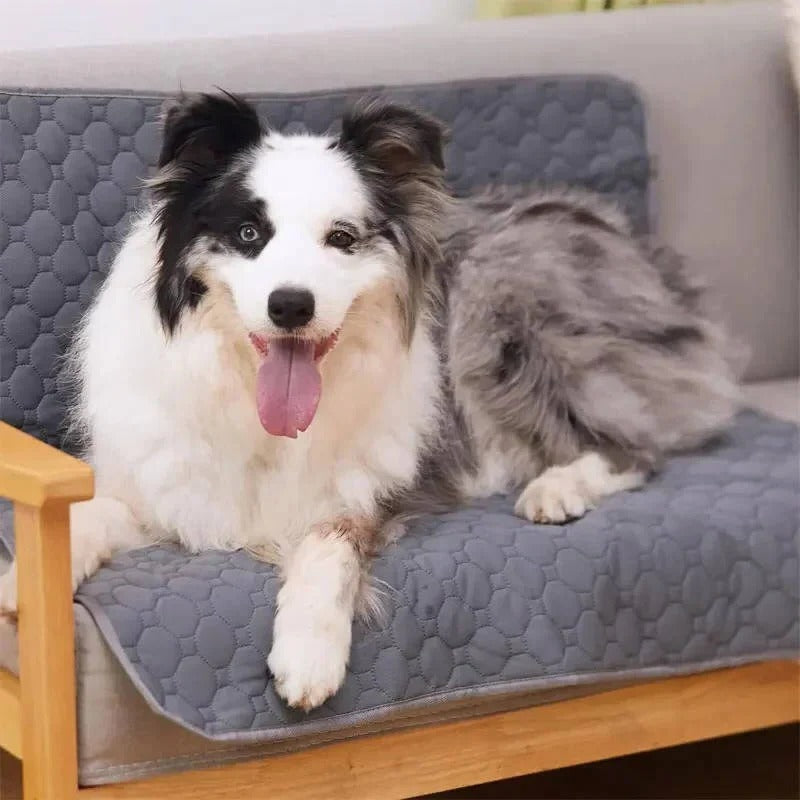 Absorbent Washable Pee Pads For Dogs