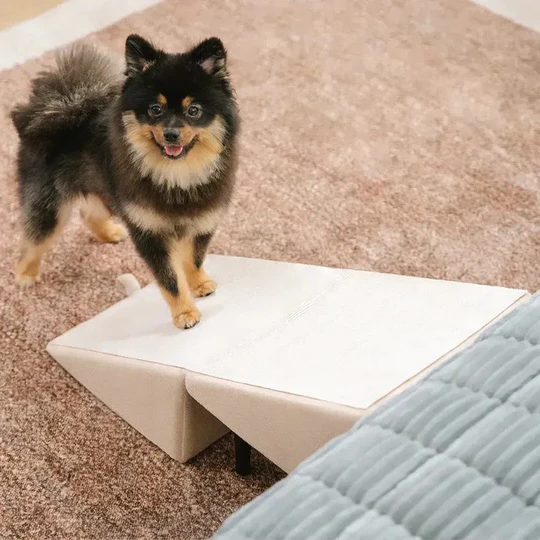 Convertible Dog Ramp & Steps, Non-Slip Pet Climbing Aid