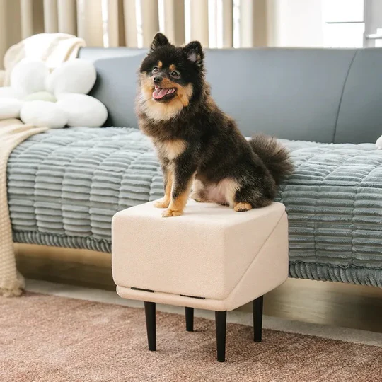 Convertible Dog Ramp & Steps, Non-Slip Pet Climbing Aid