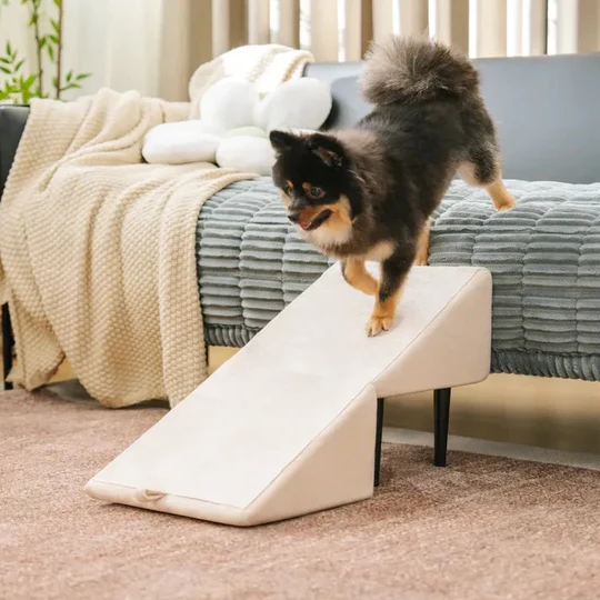 Convertible Dog Ramp & Steps, Non-Slip Pet Climbing Aid