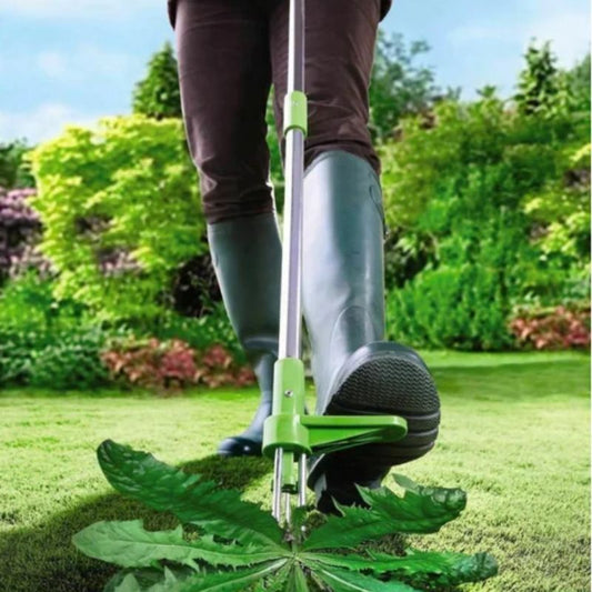 Standing Height Weed Extractor with Three Pronged Claw and Spring Mechanism, 36 Inch Handle