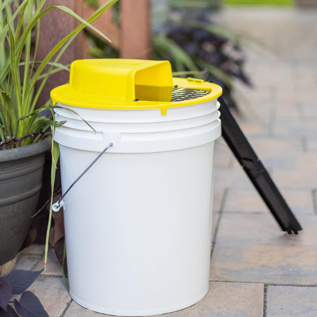 Automatic Bucket Mouse Trap with Dual Climbing Ladders and Auto Reset Mechanism