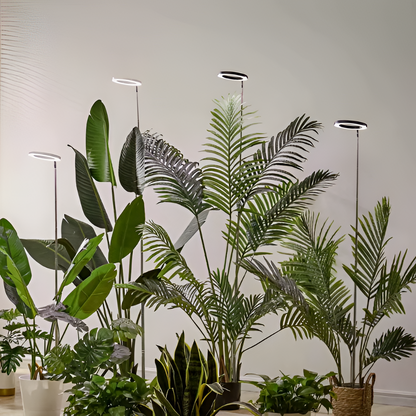 LED Ring Grow Light with Adjustable Telescoping Stand and Auto Timer