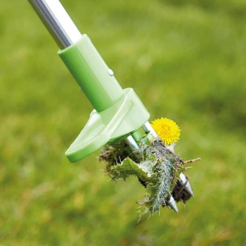 Standing Height Weed Extractor with Three Pronged Claw and Spring Mechanism, 36 Inch Handle