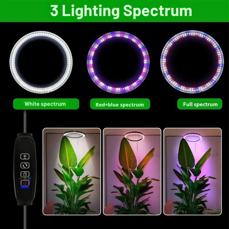 LED Ring Grow Light with Adjustable Telescoping Stand and Auto Timer