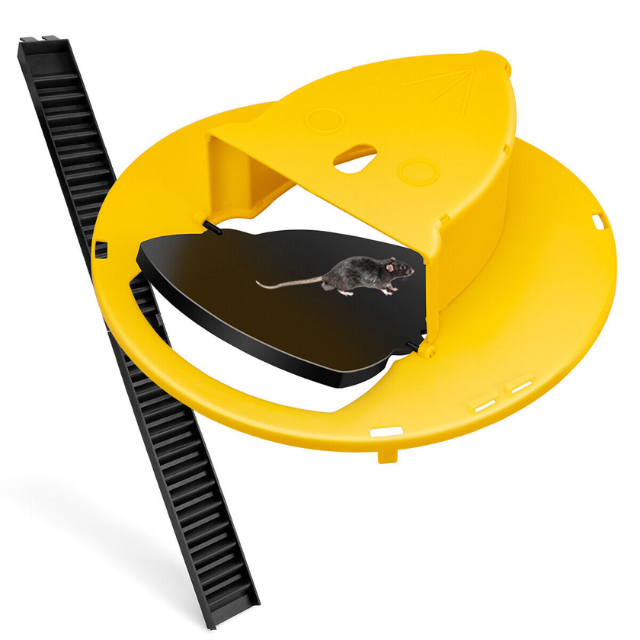 Automatic Bucket Mouse Trap with Dual Climbing Ladders and Auto Reset Mechanism