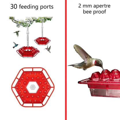Hummingbird Feeder with Ant Moats and 30 Flower Ports, UV Resistant Polycarbonate