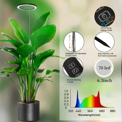 LED Ring Grow Light with Adjustable Telescoping Stand and Auto Timer
