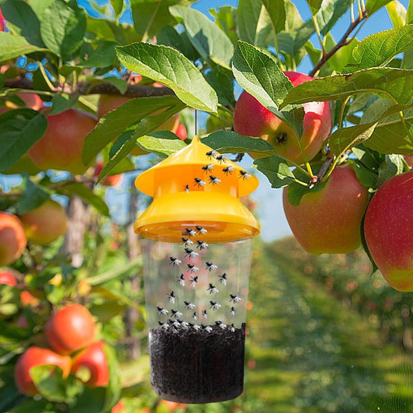 Reusable Outdoor Hanging Fly Trap