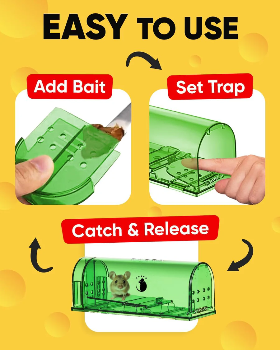 4 Pack Mouse Trap