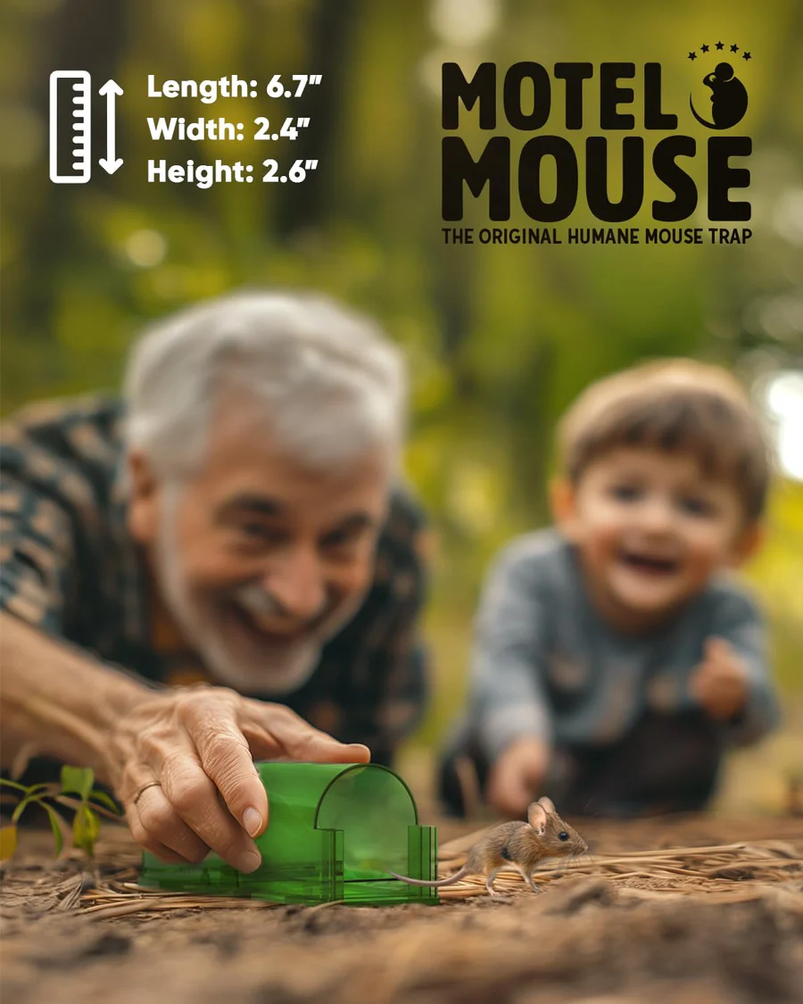 4 Pack Mouse Trap