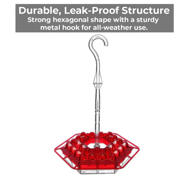 Ant Proof Hummingbird Feeder with 30 Bee Resistant Ports