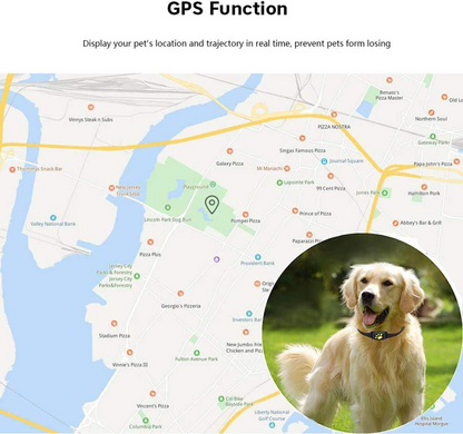 Smart GPS Pet Collar with Tracking, Geo Fence and Sleep Mode