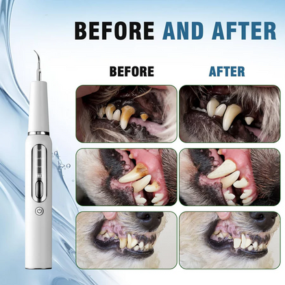 Dog Dental Care Tool, Stainless Steel Teeth Cleaning Kit