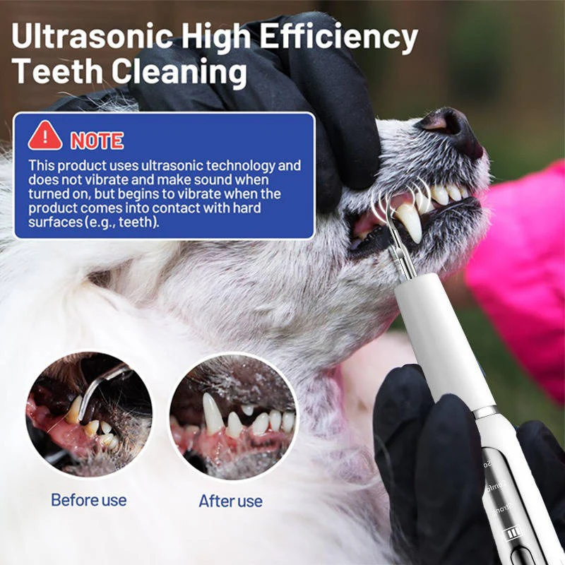 Dog Dental Care Tool, Stainless Steel Teeth Cleaning Kit