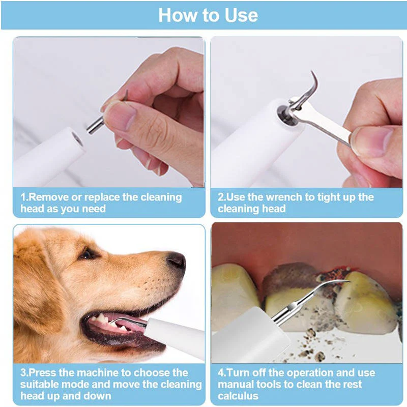Dog Dental Care Tool, Stainless Steel Teeth Cleaning Kit
