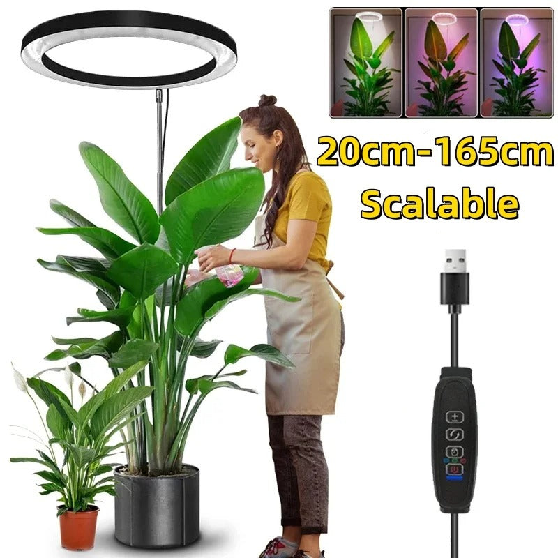 LED Ring Grow Light with Adjustable Telescoping Stand and Auto Timer