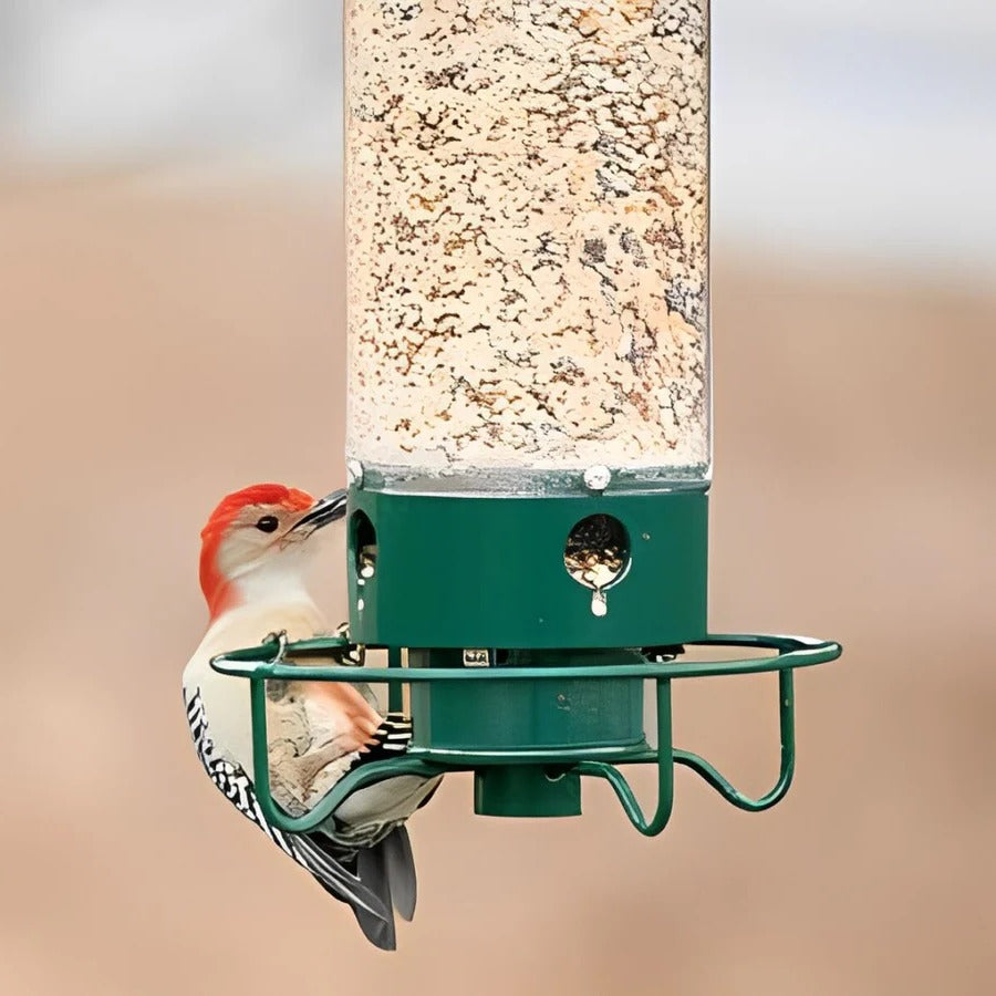 Spinning Perch Bird Feeder with Weight Activated Squirrel Deterrent and Metal Construction