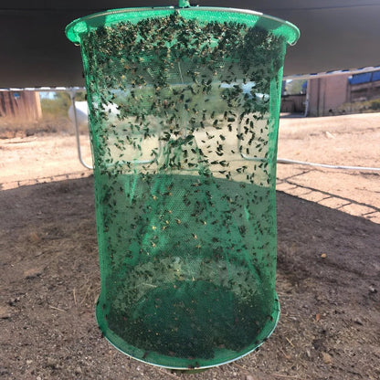 Stable Fly Trap with Natural Bait Packets