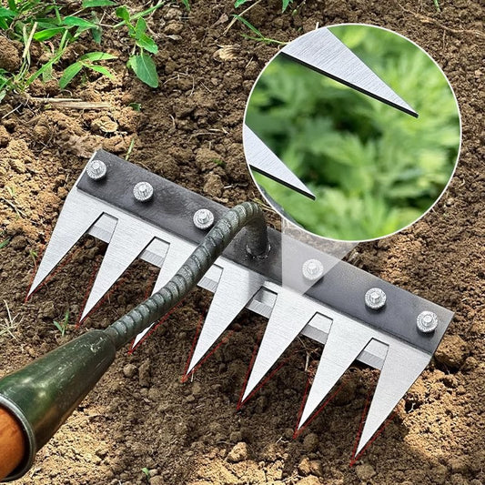 Versatile Handle Rake for Lawn with Detachable Teeth