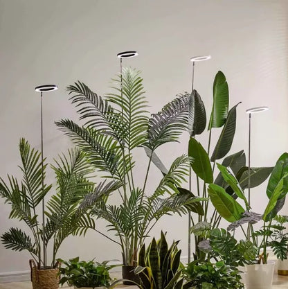 Grow Light for Indoor Plants