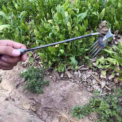 Handheld Weed Tool Remover