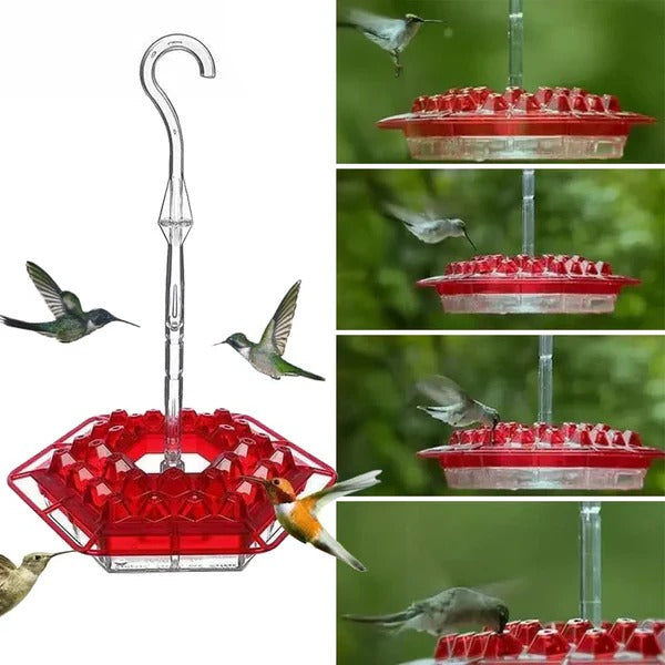 Ant Proof Hummingbird Feeder with 30 Bee Resistant Ports