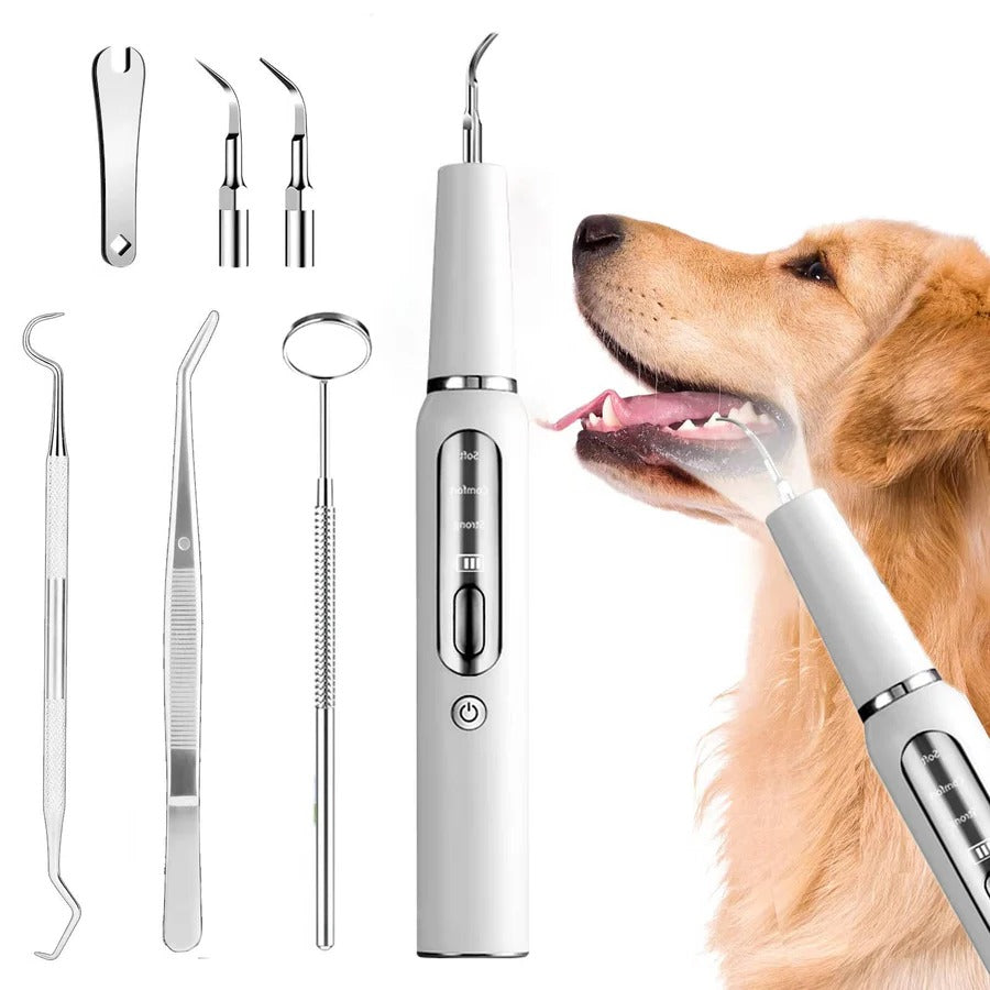 Dog Dental Care Tool, Stainless Steel Teeth Cleaning Kit