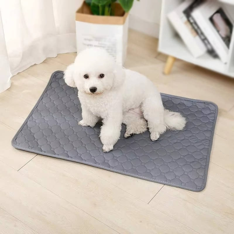 Absorbent Washable Pee Pads For Dogs