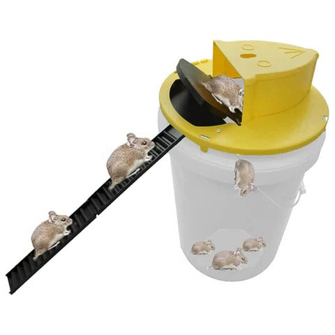 Reusable Humane Bucket Mouse Trap