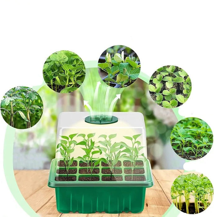 Plant Seed Starter Tray with Full Spectrum Grow Light and Dome Cover
