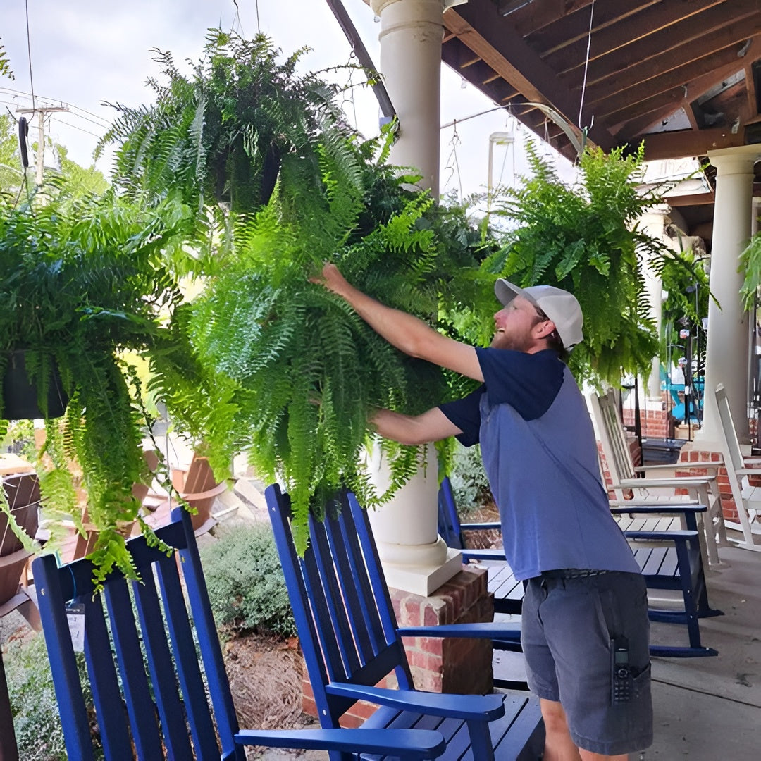 Artificial Boston Fern with 18 Branches and UV Resistant Material, 27.5in Wide