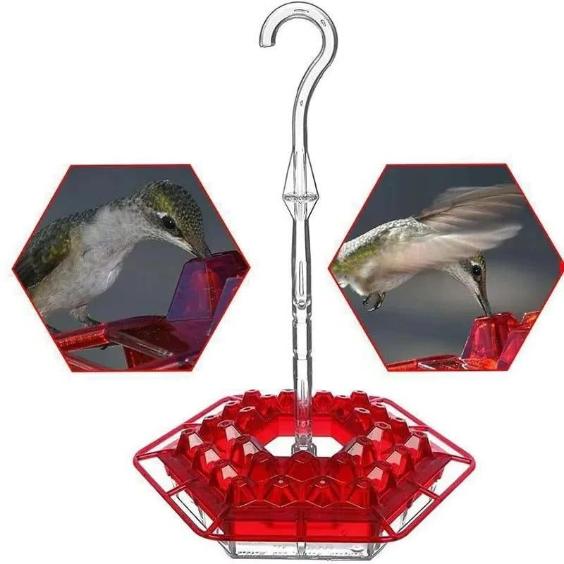 Hummingbird Feeder with Ant Moats and 30 Flower Ports, UV Resistant Polycarbonate