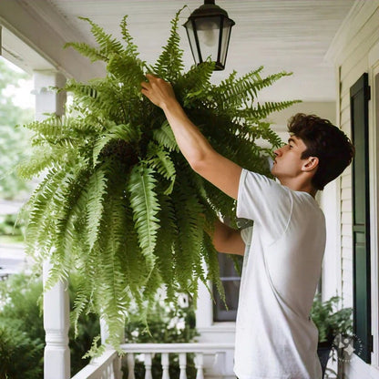 Artificial Boston Fern with 18 Branches and UV Resistant Material, 27.5in Wide
