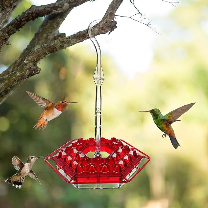 Hummingbird Feeder with Ant Moats and 30 Flower Ports, UV Resistant Polycarbonate