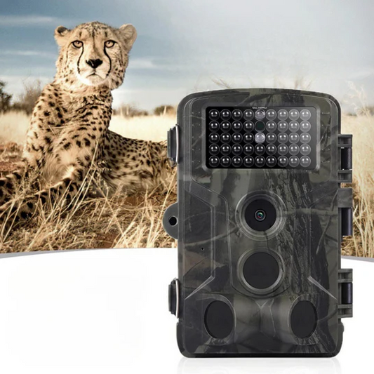 1080P Night Vision Trail Camera with 0.5s Motion Trigger