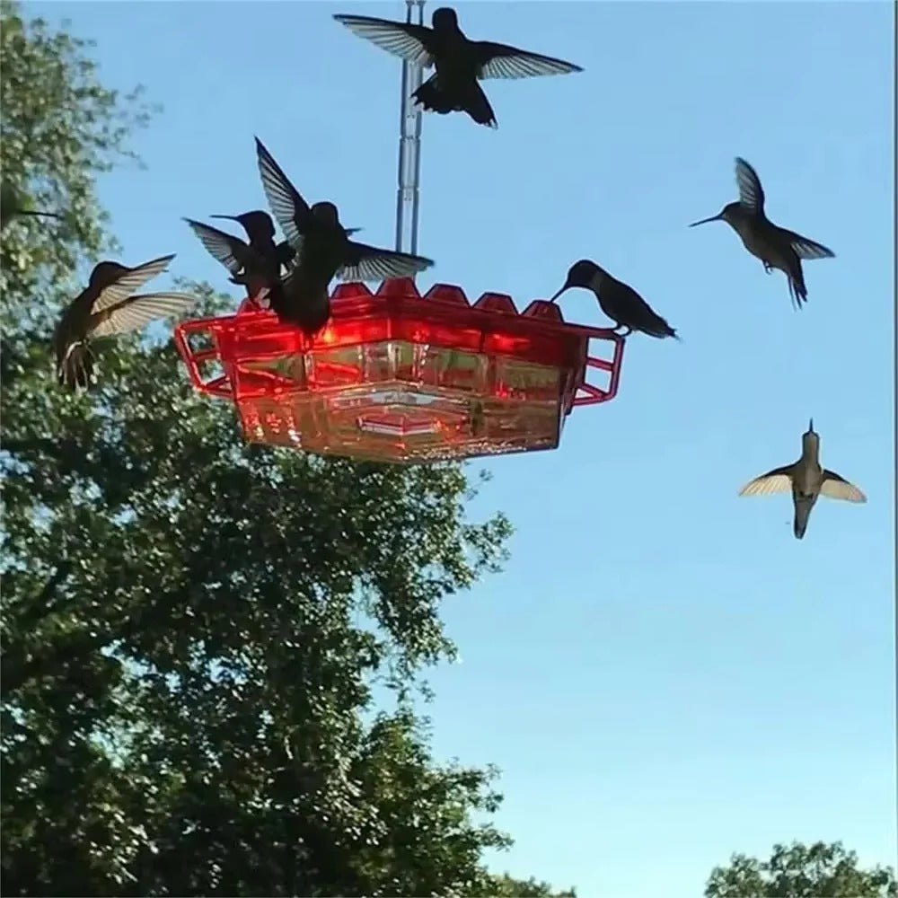 Hummingbird Feeder with Ant Moats and 30 Flower Ports, UV Resistant Polycarbonate