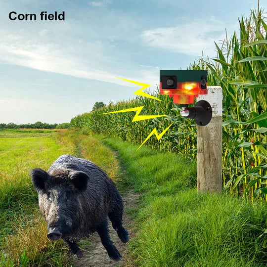 Solar-Powered 360° Repeller for Pigeons, Birds, and Wild Animals