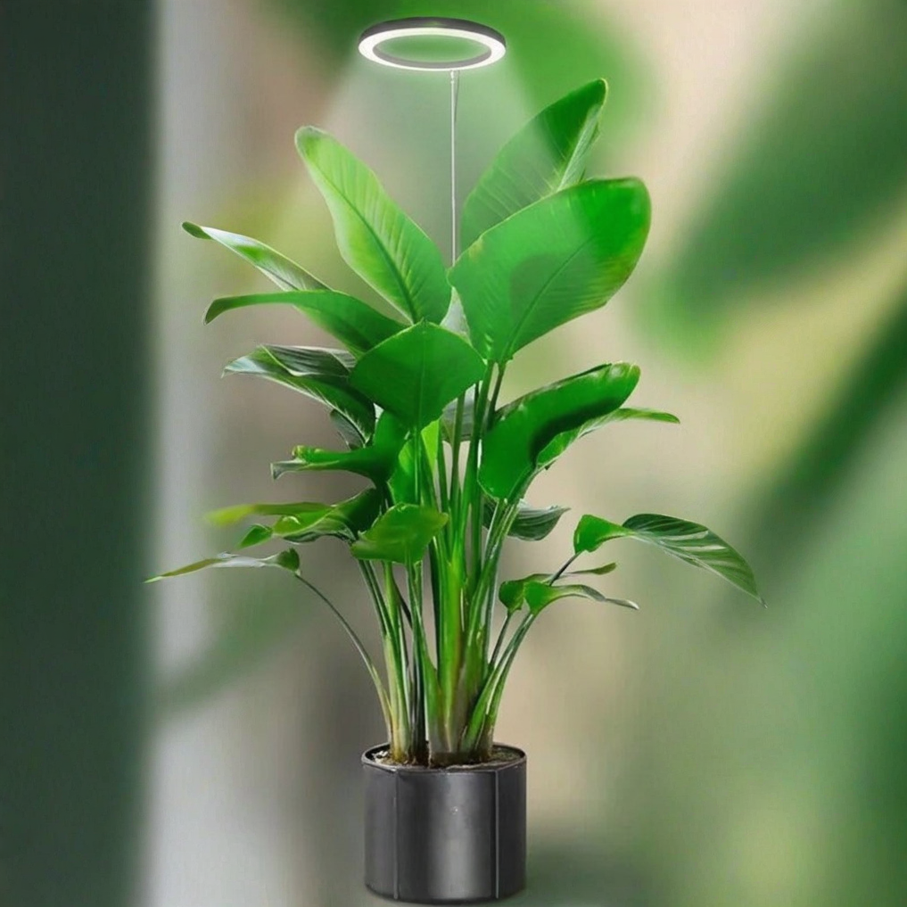 LED Ring Grow Light with Adjustable Telescoping Stand and Auto Timer